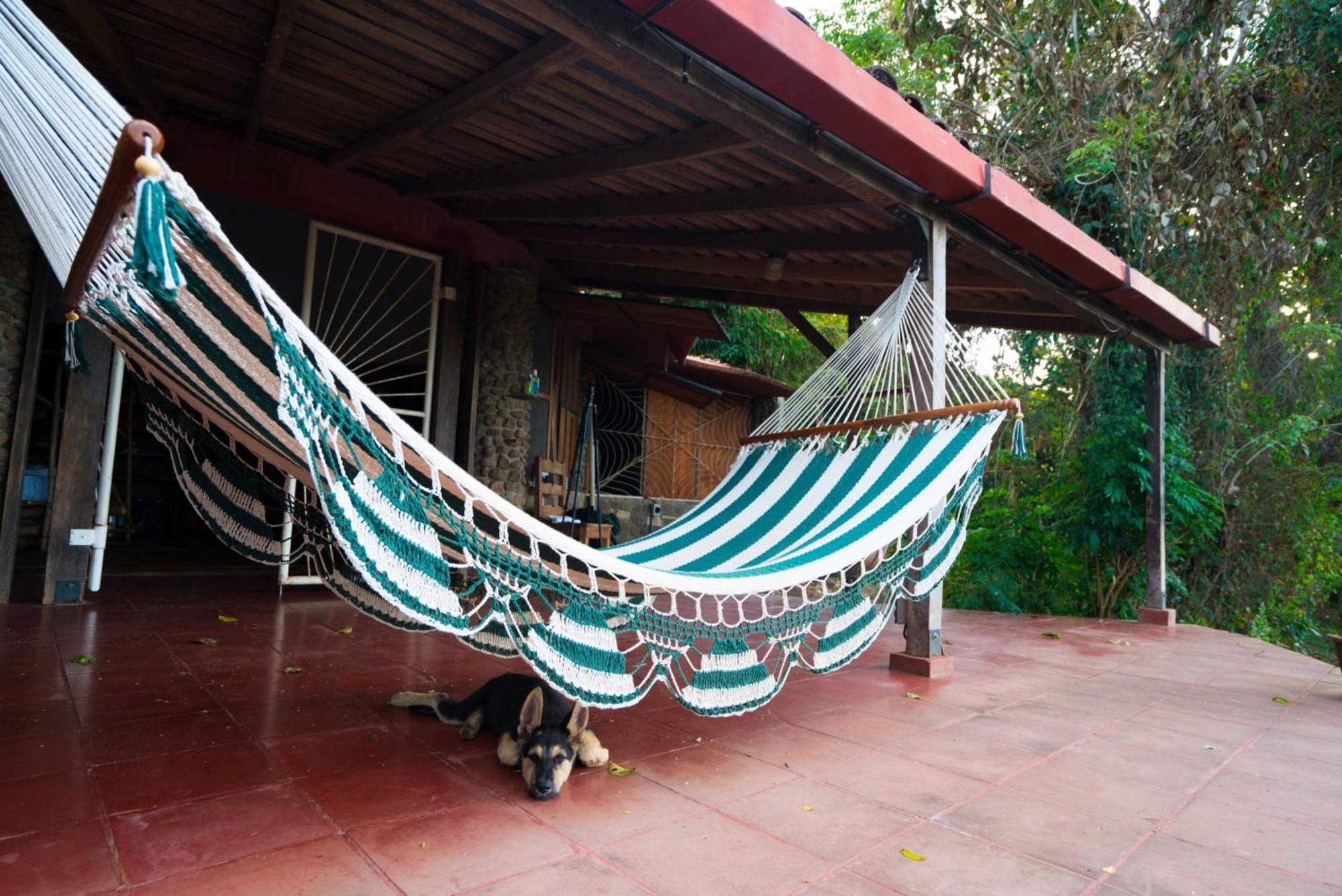Selvista Guesthouses Balgue Rum bild